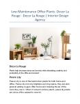 Low-Maintenance Office Plants- Decor La Rouge - Decor La Rouge | Interior Design Agency PowerPoint PPT Presentation