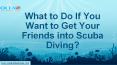 What to Do If You Want to Get Your Friends into Scuba Diving? PowerPoint PPT Presentation