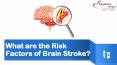 What are the Risk Factors of Brain Stroke? (1) PowerPoint PPT Presentation