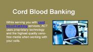 Cord Blood Banking