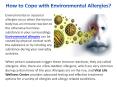 How to Cope with Environmental Allergies? PowerPoint PPT Presentation
