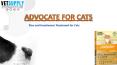 Advocate - Best Flea and Tick Treatment for Cats PowerPoint PPT Presentation