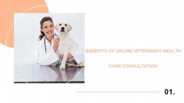 BENEFITS OF ONLINE VETERINARY HEALTH CARE CONSULTATION