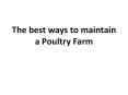 The best ways to maintain a Poultry Farm PowerPoint PPT Presentation