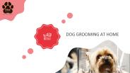 DOG GROOMING AT HOME