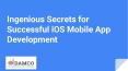 Little-Known Tips for Successful iOS Mobile App Development