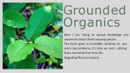 groundedorganics