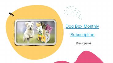 Dog Box Monthly Subscription - Bravopaws