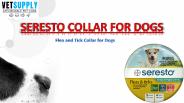 Seresto Flea and Tick Treatment for Dogs| VetSupply