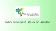 thewildsalmonco