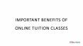 IMPORTANT BENEFITS OF ONLINE TUITION CLASSES PowerPoint PPT Presentation