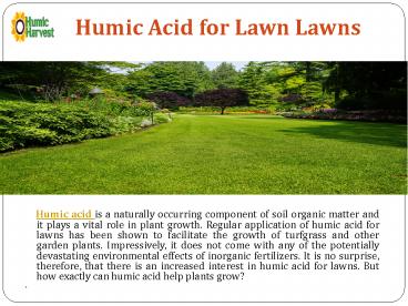 Best Humic Acid| Humic Harvest