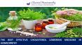 The Best Effective Cholesterol Lowering Medicine in Homeopathy PowerPoint PPT Presentation