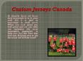 Custom Jerseys Canada (1) PowerPoint PPT Presentation