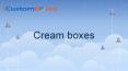 White Boxes PowerPoint PPT Presentation