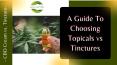 CBD Cream vs. Tincture: Differences and How to Choose PowerPoint PPT Presentation