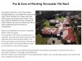 Pro & Cons of Painting Terracotta Tile Roof PowerPoint PPT Presentation
