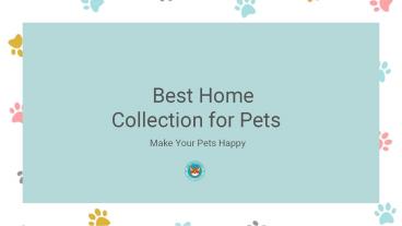 Best Home Collection for Pets