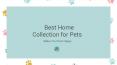 Best Home Collection for Pets PowerPoint PPT Presentation