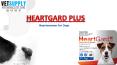 Heartgard Plus for Dogs - Best Heartwormer for Pets | VetSupply PowerPoint PPT Presentation