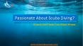 Passionate About Scuba Diving; Check the Facts You Must Know PowerPoint PPT Presentation