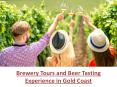 Brewery Tours and Beer Tasting Experience in Gold PowerPoint PPT Presentation