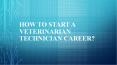How to Start a Veterinarian Technician Career? PowerPoint PPT Presentation