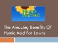 The Amazing Benefits Of Humic Acid For Lawns PowerPoint PPT Presentation