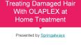 Treating Damaged Hair With OLAPLEX at Home Treatment PowerPoint PPT Presentation