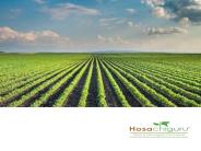 Real Estate Developers in North Bangalore