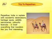 Best trip to Rajasthan