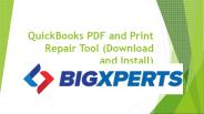 QuickBooks Print and Pdf Repair Tool: Troubleshoot PDF Issue