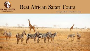 Best African Safari Tours