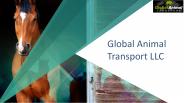 Global Animal Transport LLC