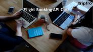 Flight Booking API Cost