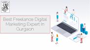 Best Freelance Digital Marketing Expert In Gurgaon