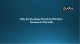 Why Do You Need Home Sanitization Services In The UAE PowerPoint PPT Presentation