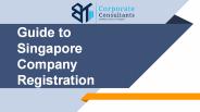 Guide to Singapore Company Registration
