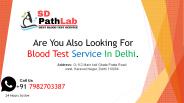 Blood Test Service In Delhi