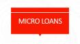 What is Micro Loans and when to get a Micro Loan? PowerPoint PPT Presentation
