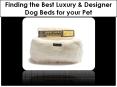 Finding the Best Luxury & Designer Dog Beds for your Pet PowerPoint PPT Presentation
