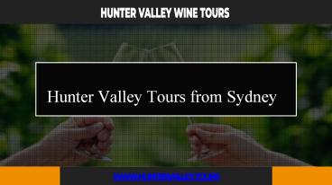 Best Hunter Valley Wine Tours - Hunter Valley Tours