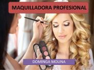 dominga presentacion
