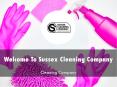 Sussex Cleaning Company Presentation PowerPoint PPT Presentation