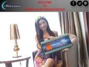 Grid Tie Inverter USA