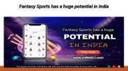 Fantasy Sports has a huge potential in India