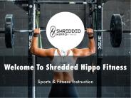 Shredded Hippo Fitness Presentation