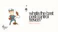 What is the best pest control service? PowerPoint PPT Presentation