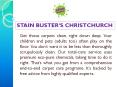 Stain Busters PowerPoint PPT Presentation