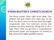 Stain Busters